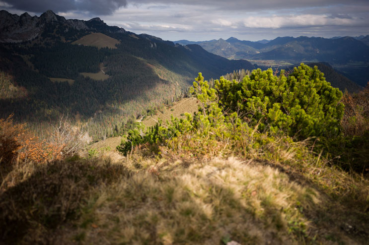 Latschenkopf trail, Jachenau, Bavaria